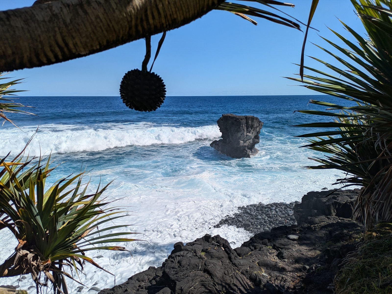 Une arche de lave et un vacoa au Cap Méchant, sur la côte du Sud sauvage de La Réunion
