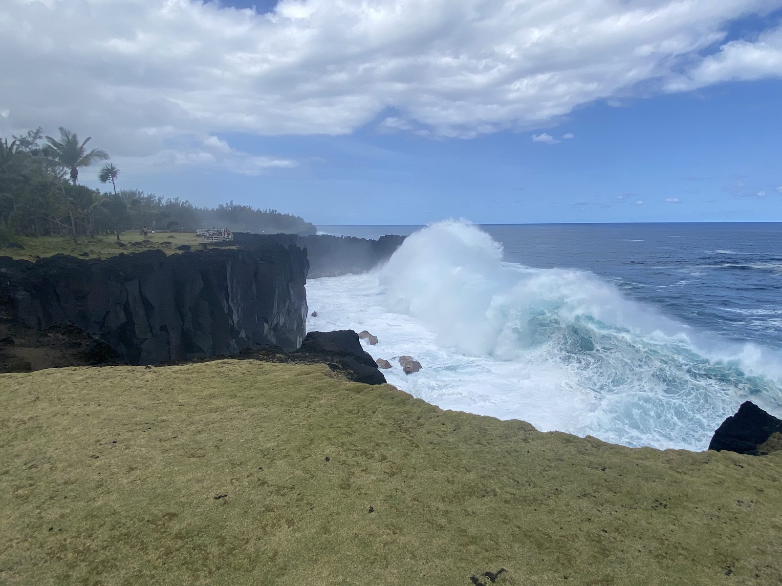 Les falaises de basalte noir de Cap Méchant battues par la houle, dans le Sud sauvage de La Réunion