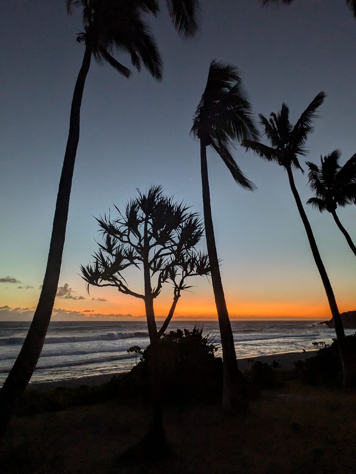 Coucher de soleil sur les cocotiers de Grande Anse, dans le sud de La Réunion