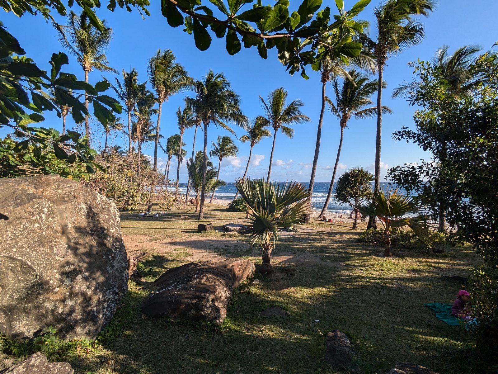 La plage de Grande Anse bordée de cocotiers et de pelouses, dans le sud de La Réunion
