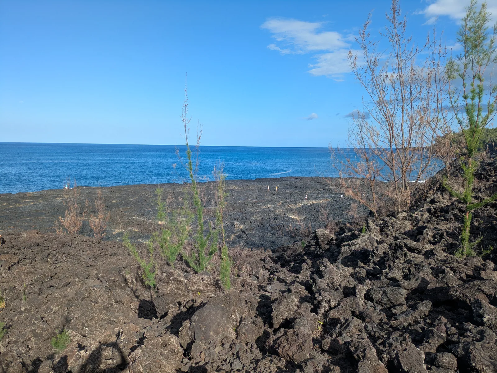le Grand Brûlé, Sud sauvage de La Réunion
