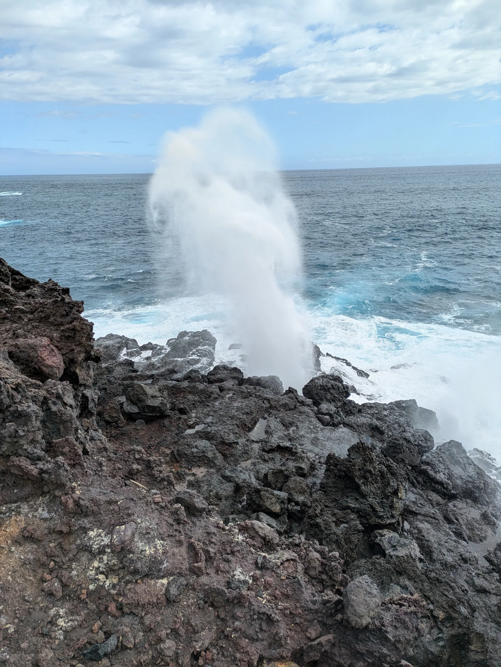 Saint-Leu, Sud sauvage de La Réunion